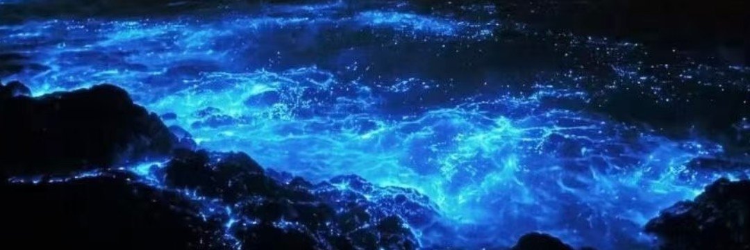 梅贾的窃魂卷's banner
