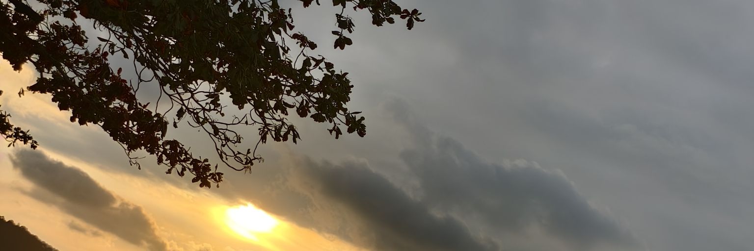 💕Michelle🩷💞's banner