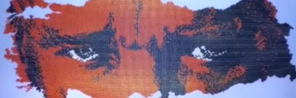 Güzin's banner