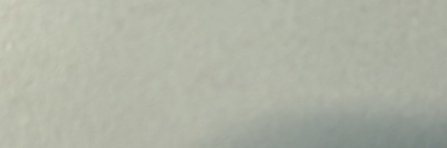 BlkTransLvr's banner