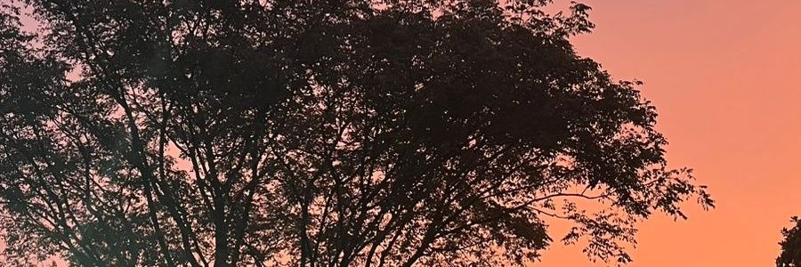 vien's banner