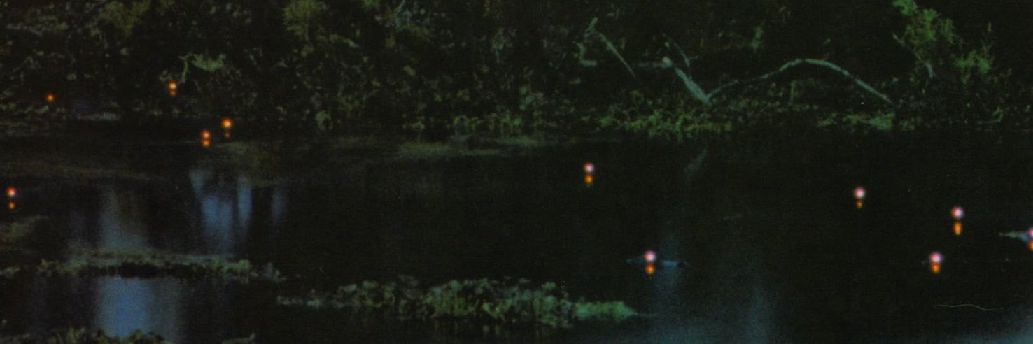 HowlingBones's banner
