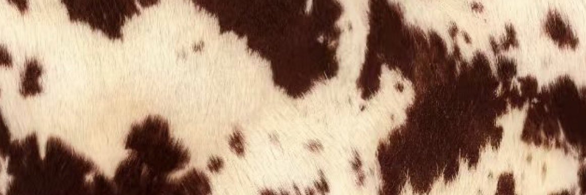 Sugar Foote's banner