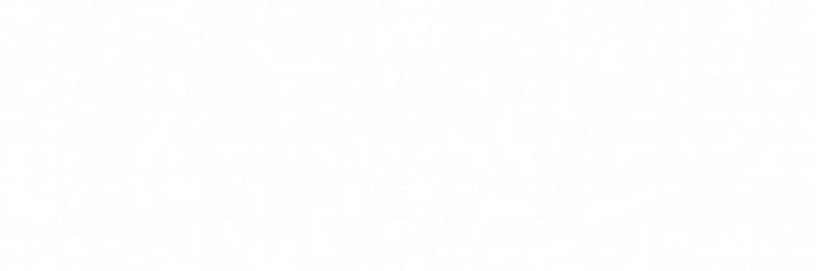 ✦'s banner