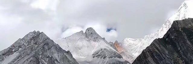 笨蛋大王's banner