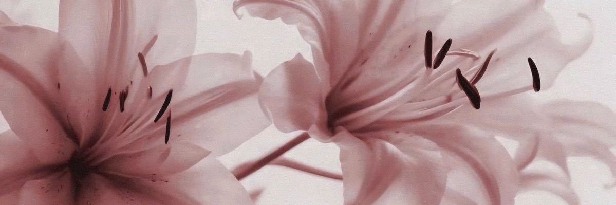 Sarah's banner