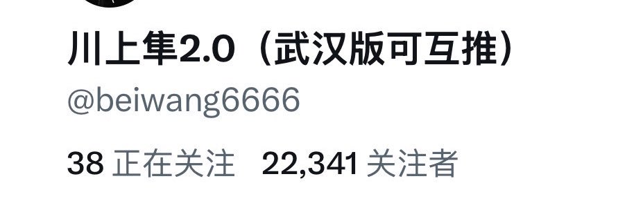 川上隼（可互推）'s banner