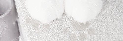 Kiki's banner