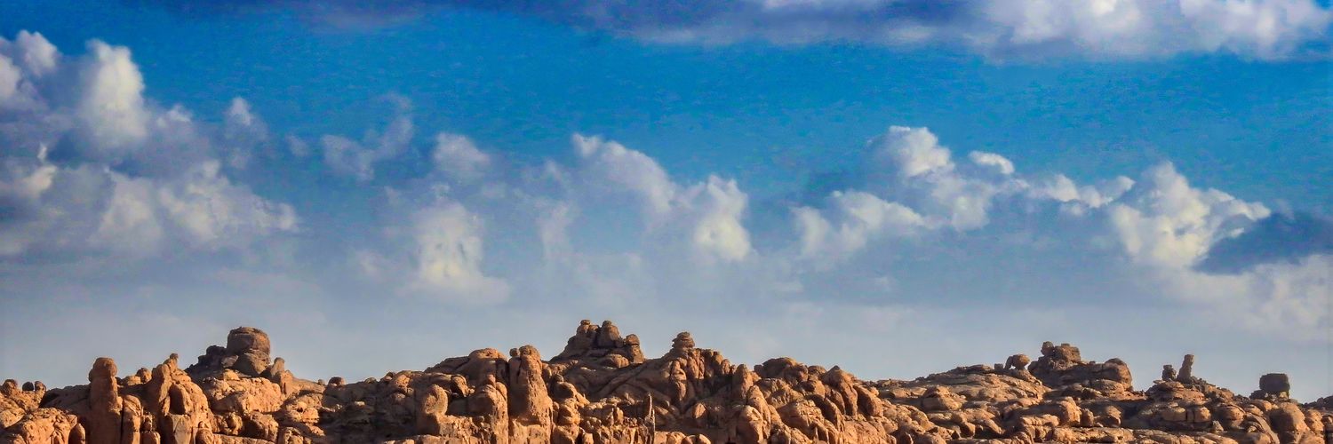 SkinnyMaleArt's banner