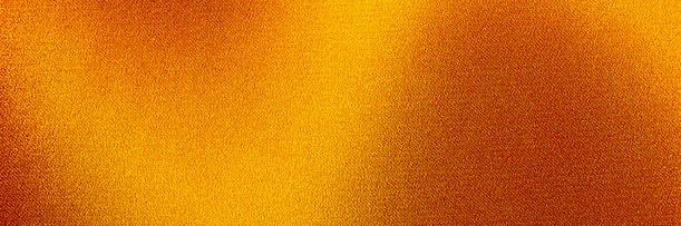 Princess Amber's banner
