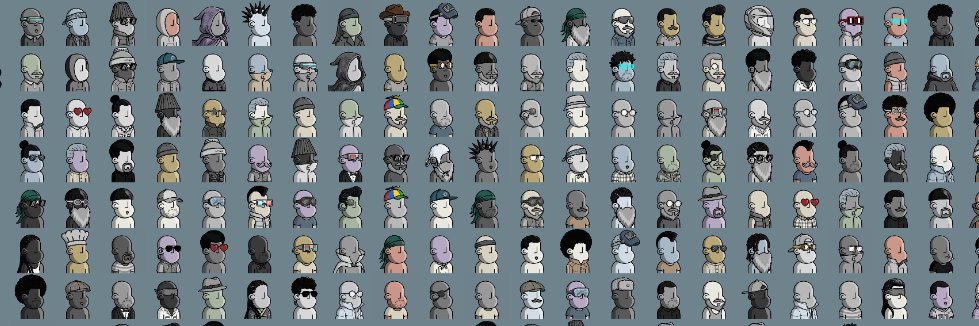 npc's banner