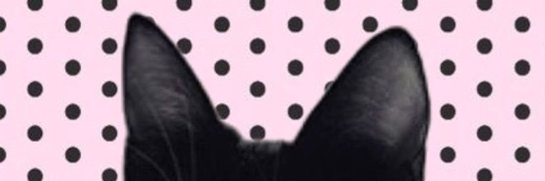 Kitty ྀི ⚞^. .^⚟ 𖾕𖾝꙼ᩚ𛲕𖾟's banner