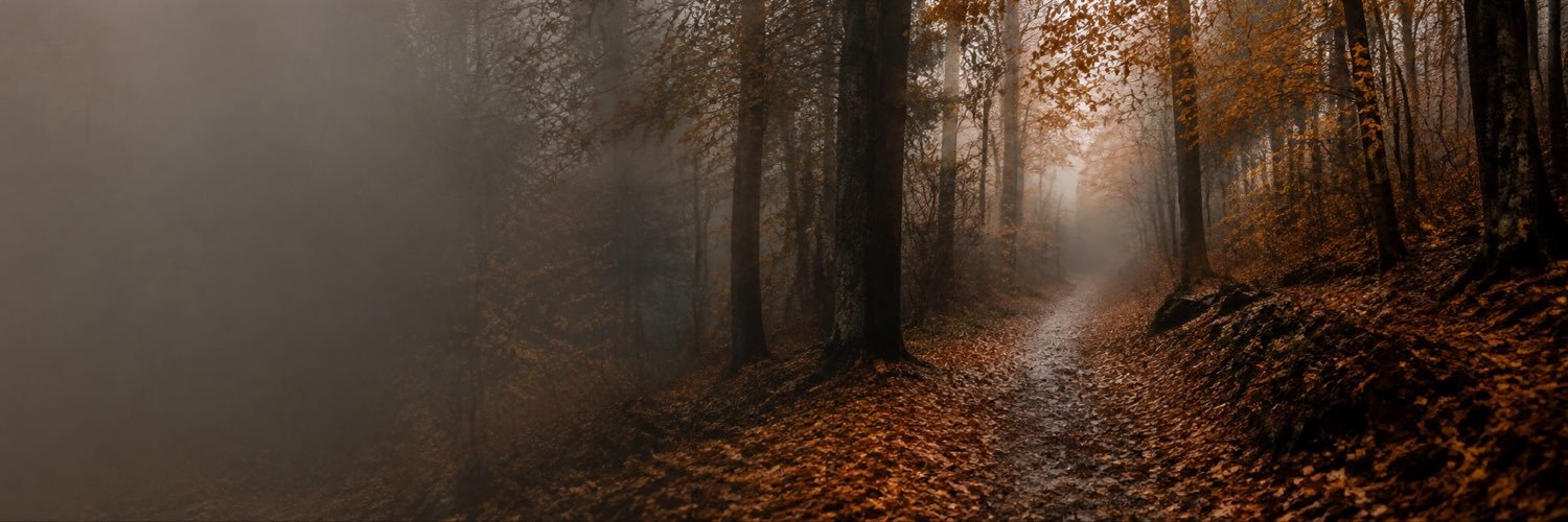 Ophelia🍂's banner
