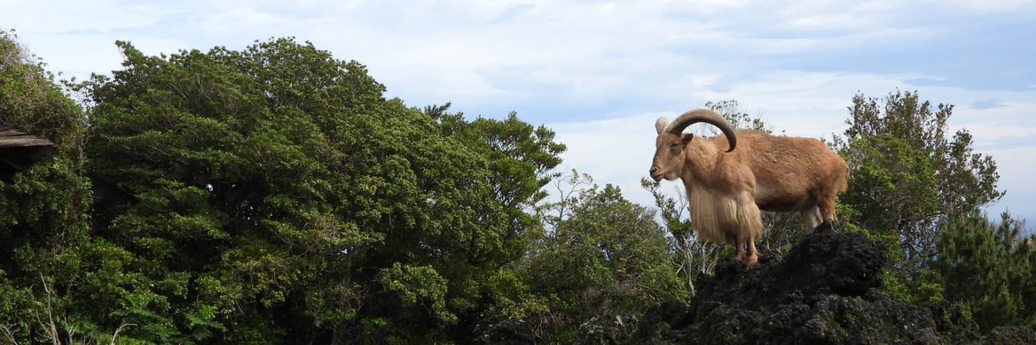 大島公園動物園［公式］'s banner