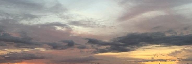 Katy 🌹's banner
