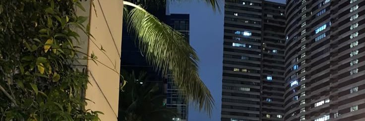 Katy Robertson's banner