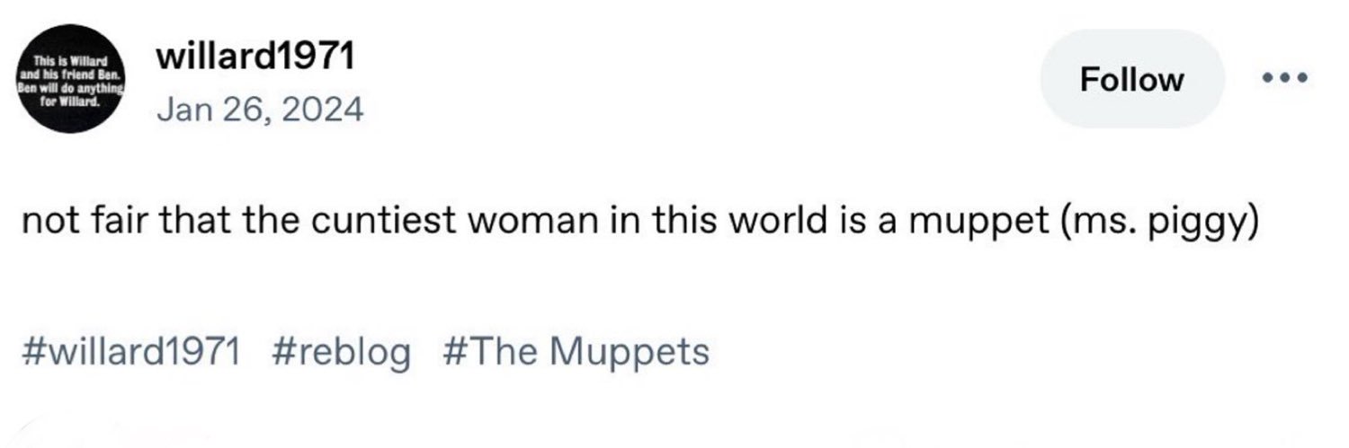 miss piggy apologist 🦇's banner