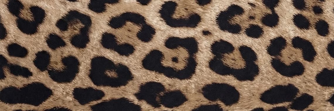 Sabina Sovik's banner