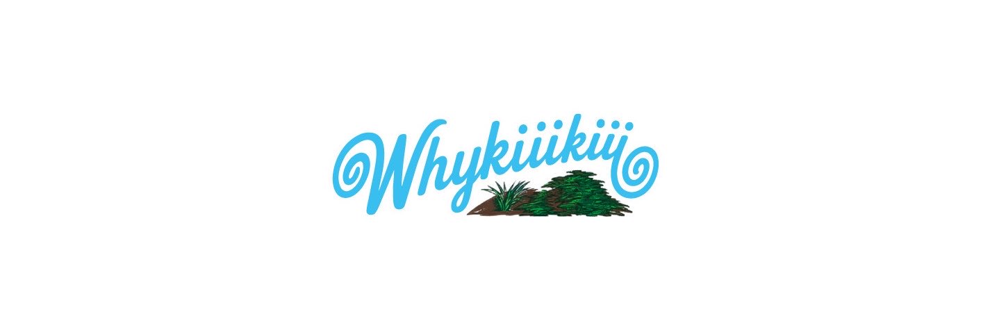 KiiiKiii Japan Official's banner