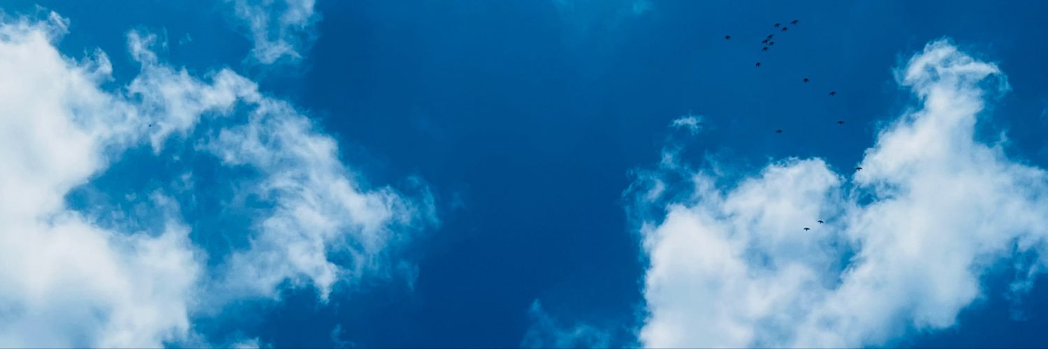 ViVy's banner