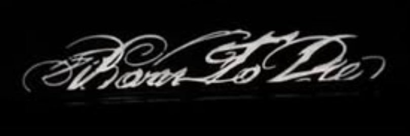 V's banner