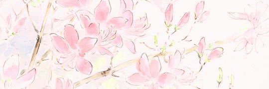 angel's banner