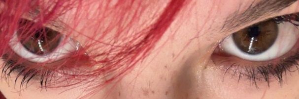 luvcatsdoll's banner