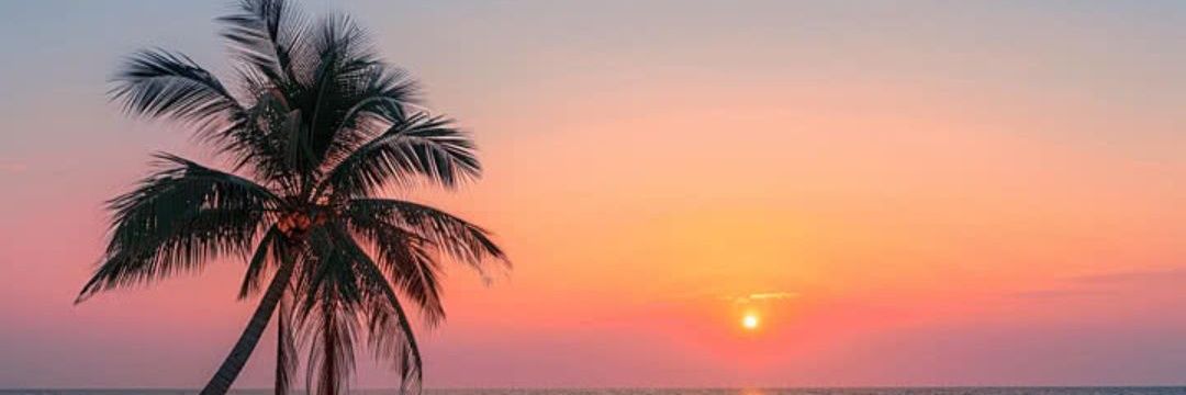 شجـــون 💌's banner