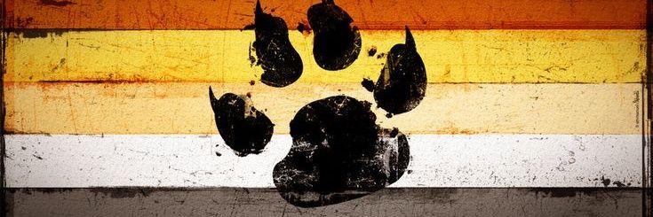 CyR's banner