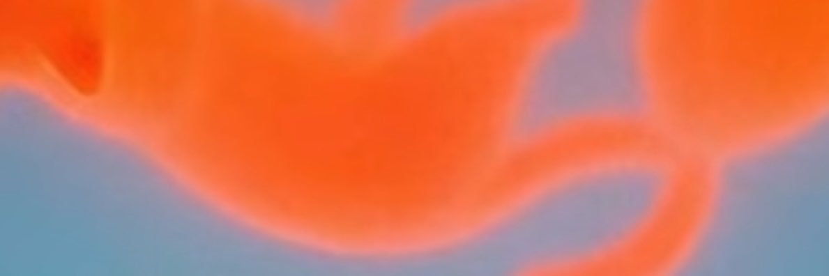 achira's banner