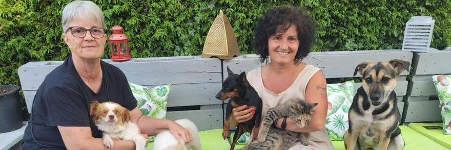 amante de los animales ❤️🙏🐕💞's banner