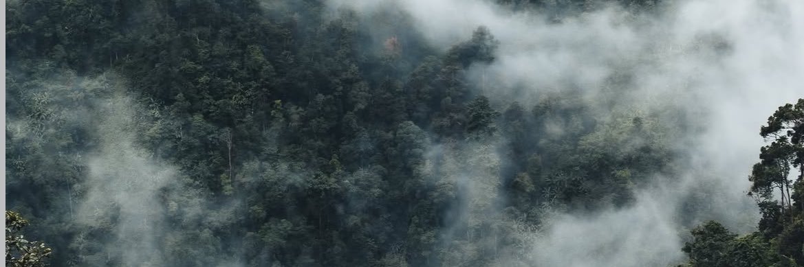 Pai rueay's banner