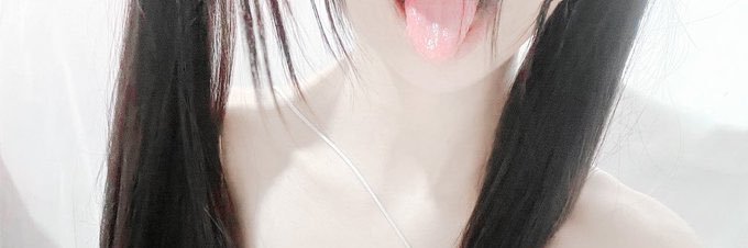 Feiwu's banner