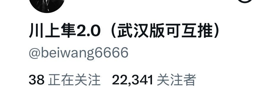 川上隼（可互推）'s banner