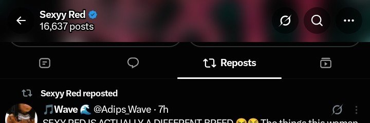 🎵Wave 🌊's banner