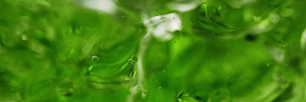 Bot Slop's banner