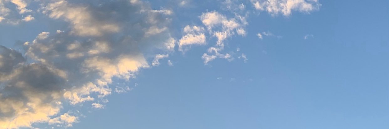 cirenglastnight's banner