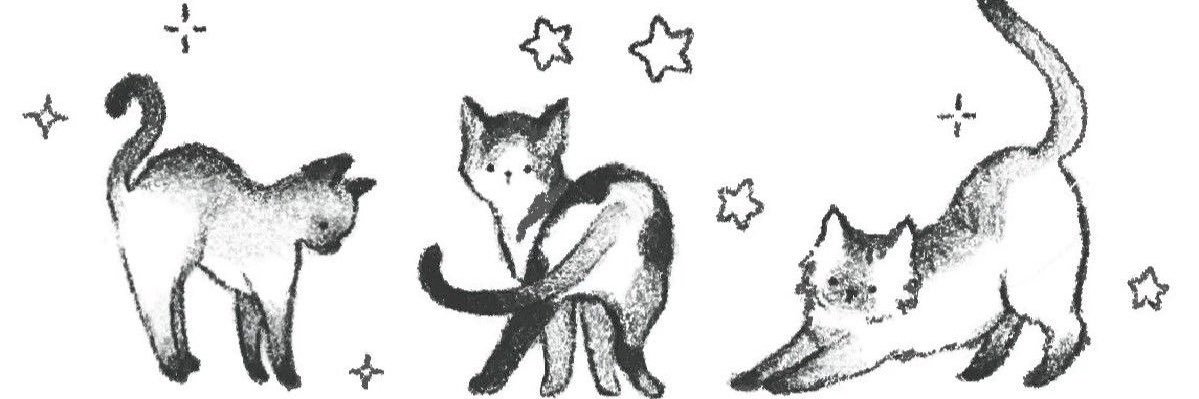 meow ཐི༏ཋྀ's banner