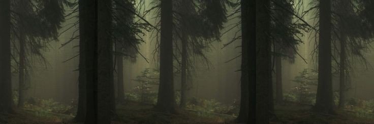 Rena ᛉ's banner