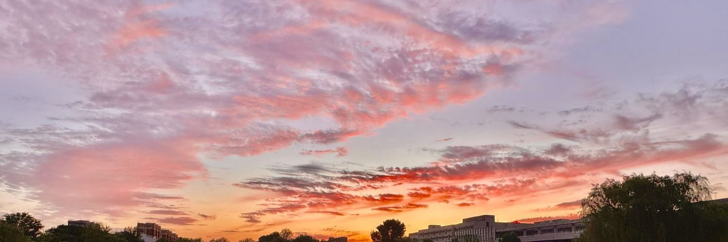 小石头🪨喜欢飞翔（互推）'s banner