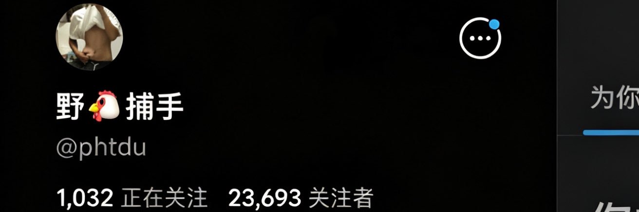 野🐔捕手（复活版）'s banner