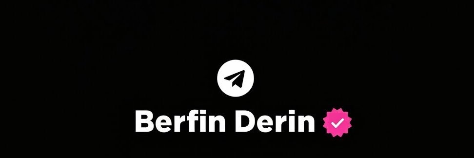 Berfin's banner