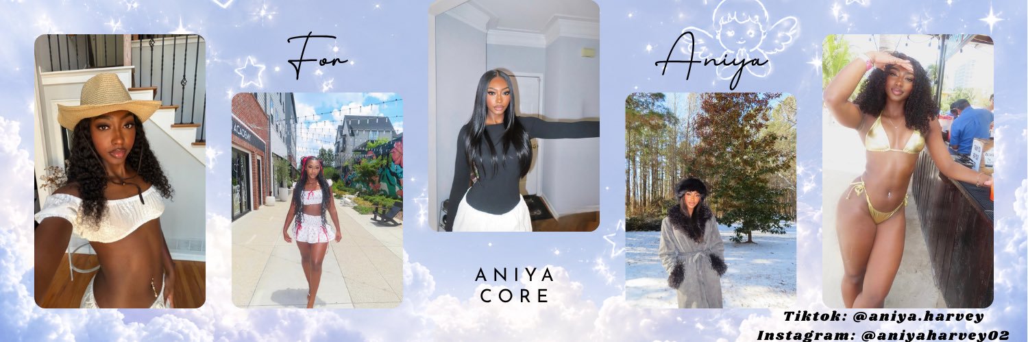 AniyaCore's banner