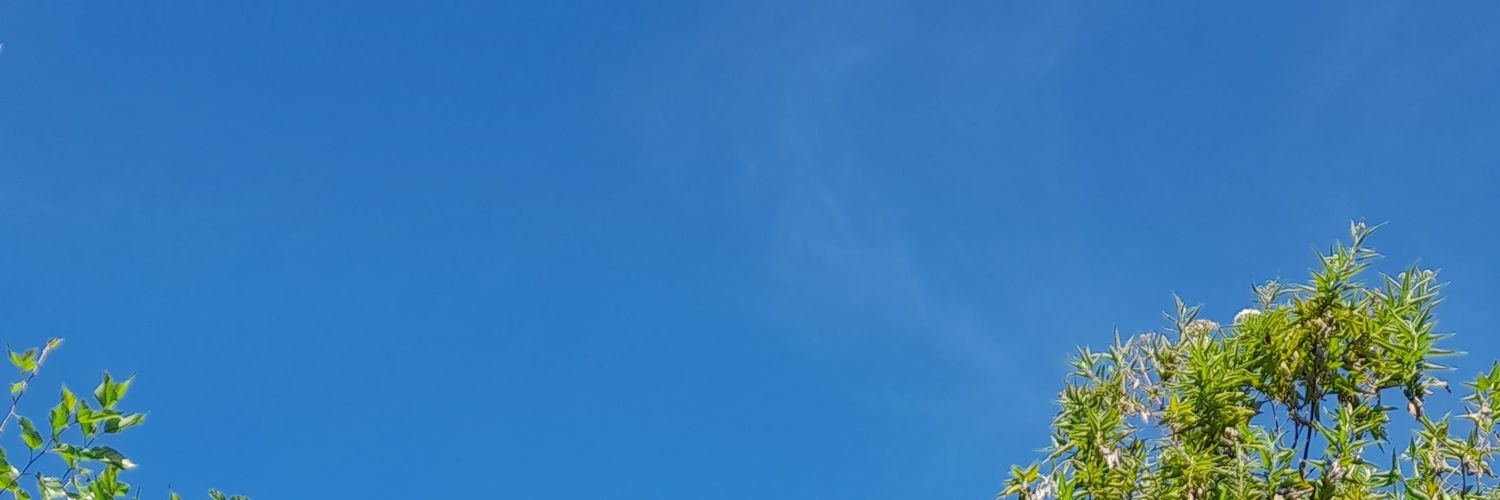 Bengjekid's banner