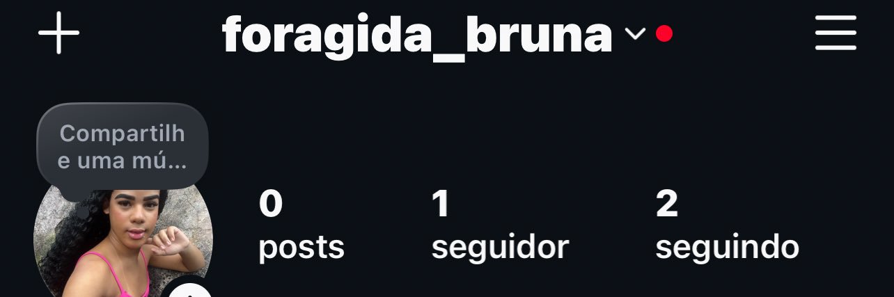 Bruna's banner