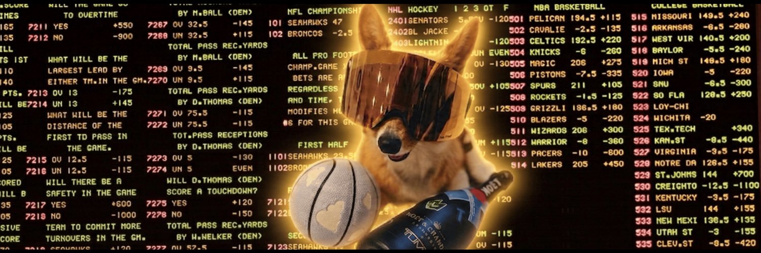 Air Corgi's banner