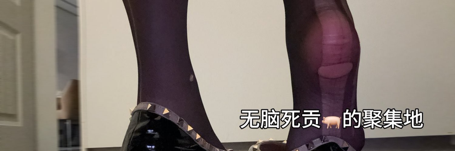 naibb's banner