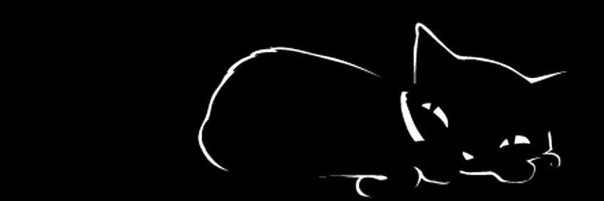 ليان 🎀's banner