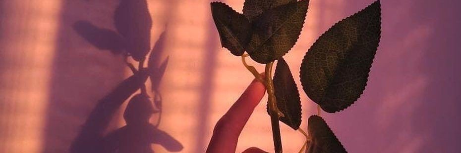 🌷💖 Mekdes 🦋✨'s banner