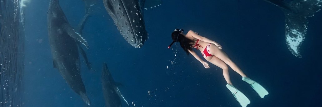 AIOceanwave's banner